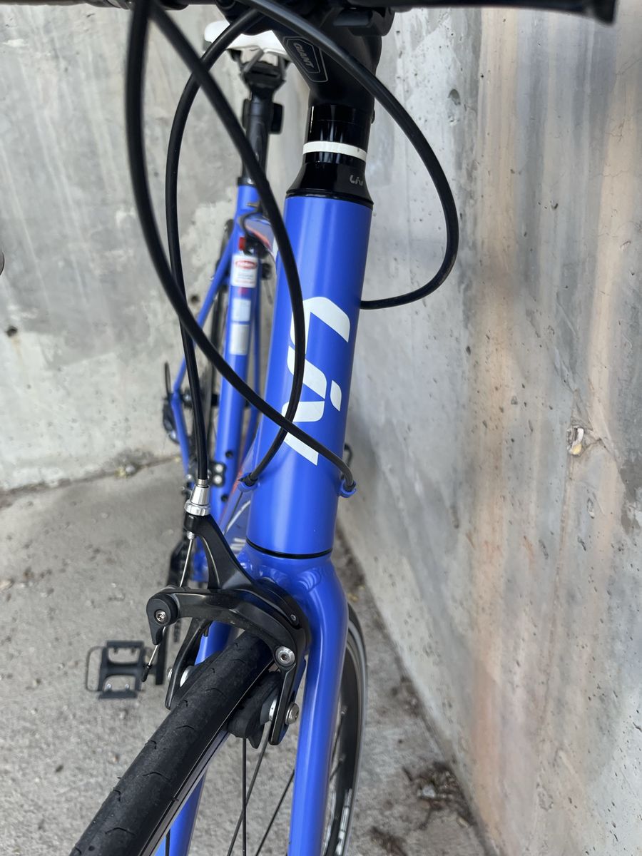 Liv/ Giant small frame road bike 