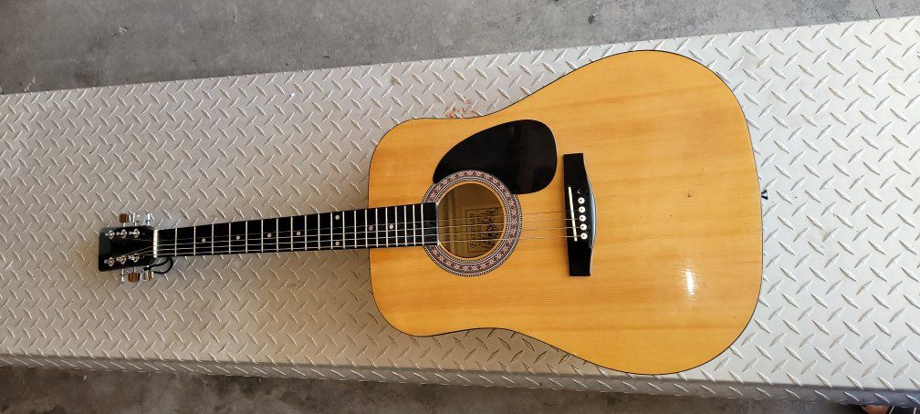 Burswood Esteban signature acoustic guitar