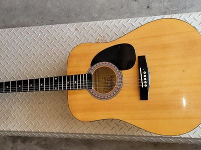 Burswood Esteban signature acoustic guitar