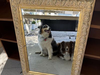 4 Gold Antique Mirrors