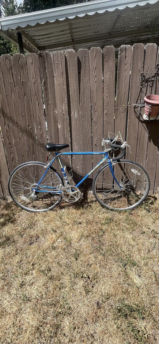 Schwinn World Sport medium size road bike
