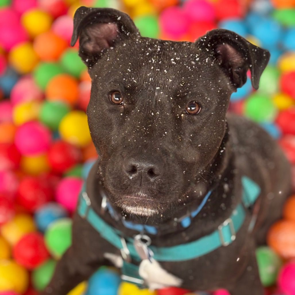 Hello my name is Hemi