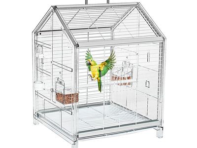 Clear Bird Cage for Small Birds - Parrot, Cockatiel, Parakeet - 20.5" Tall