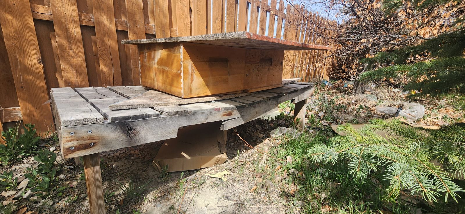 2 beehives and 2 suits