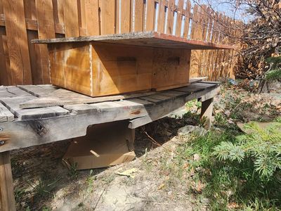 2 beehives and 2 suits