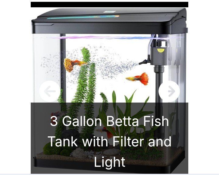 3 Gallon Fish Tank with filter and light (NEW)