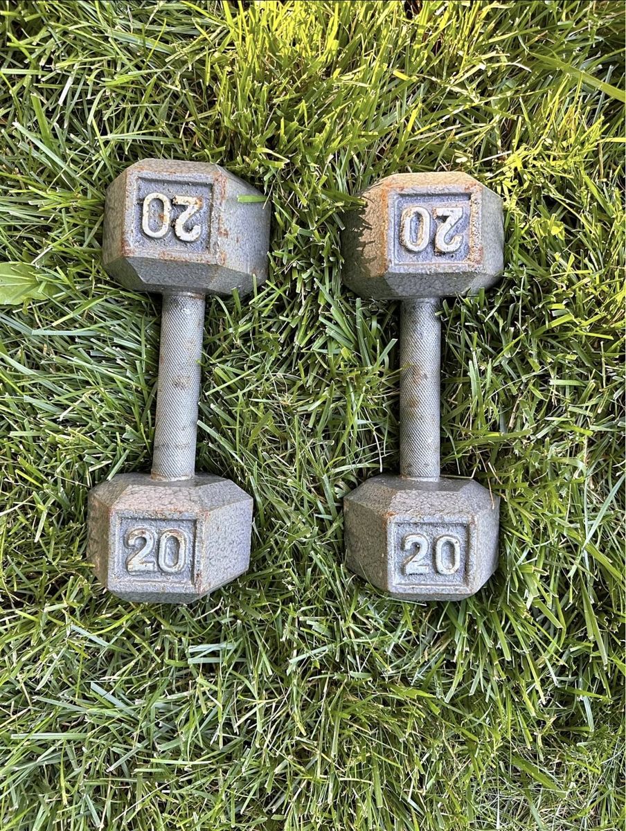 2 20lb dumbbells