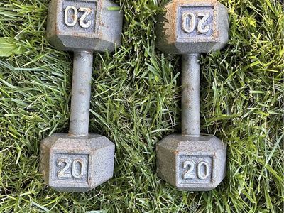 2 20lb dumbbells