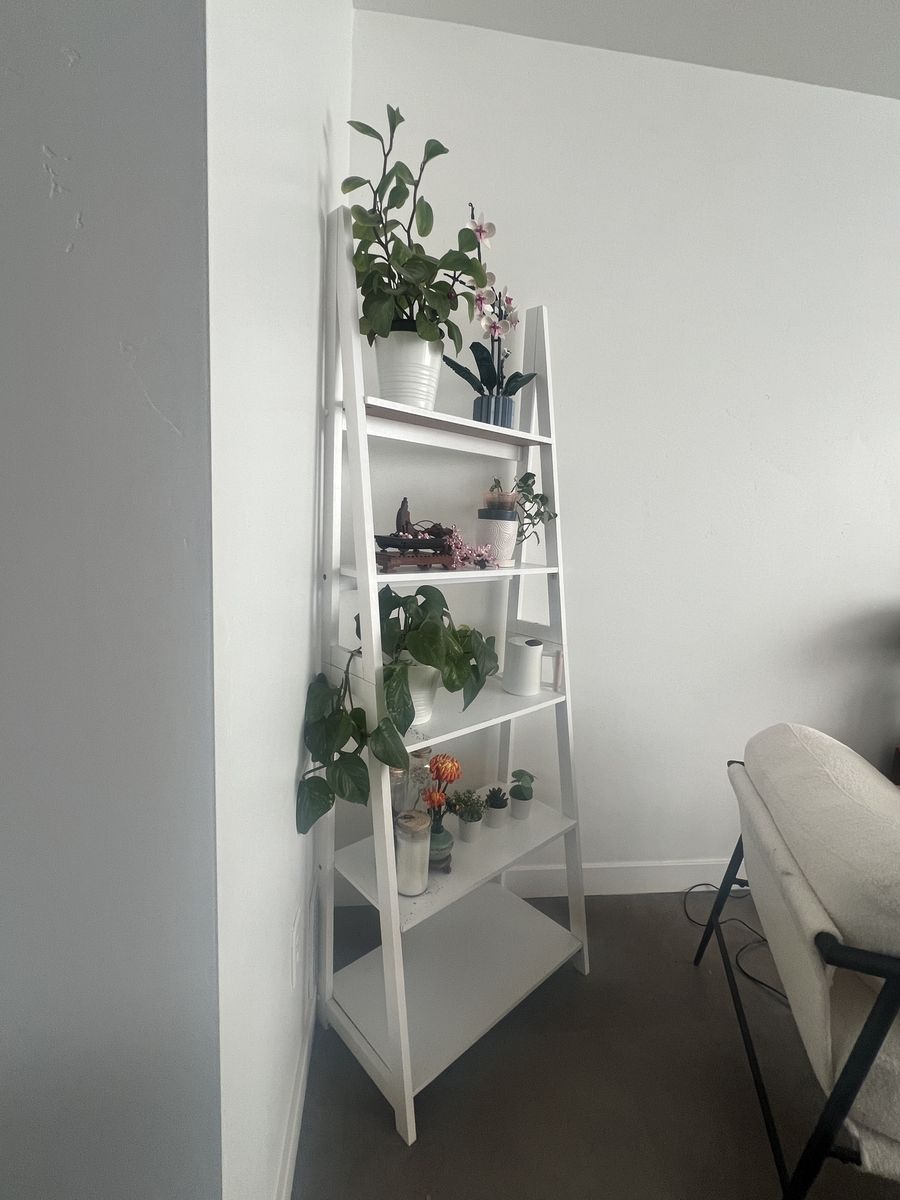 tiered ladder shelf
