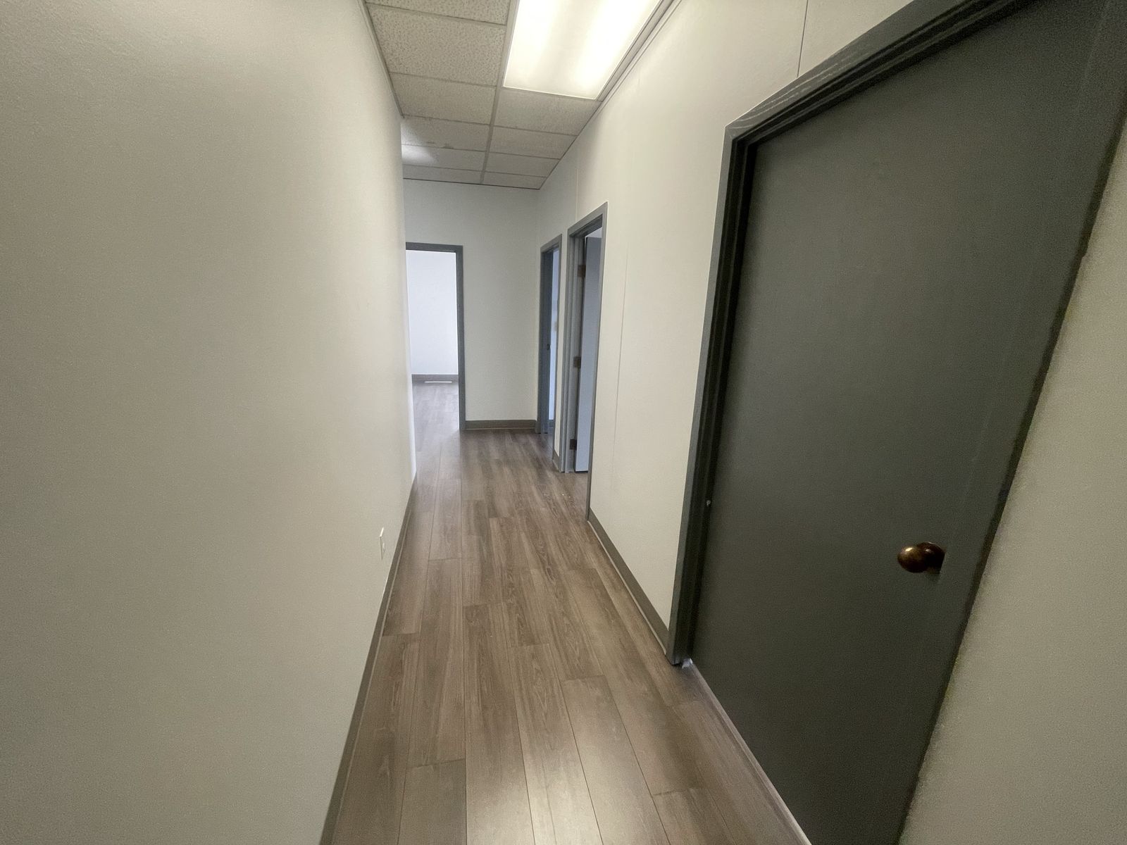 Main image 19