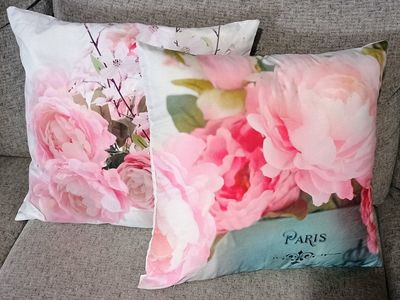 Pair of Decorative Throw Pillows