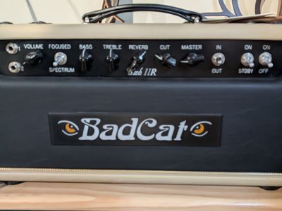 Badcat Cub IIr (hand wired)