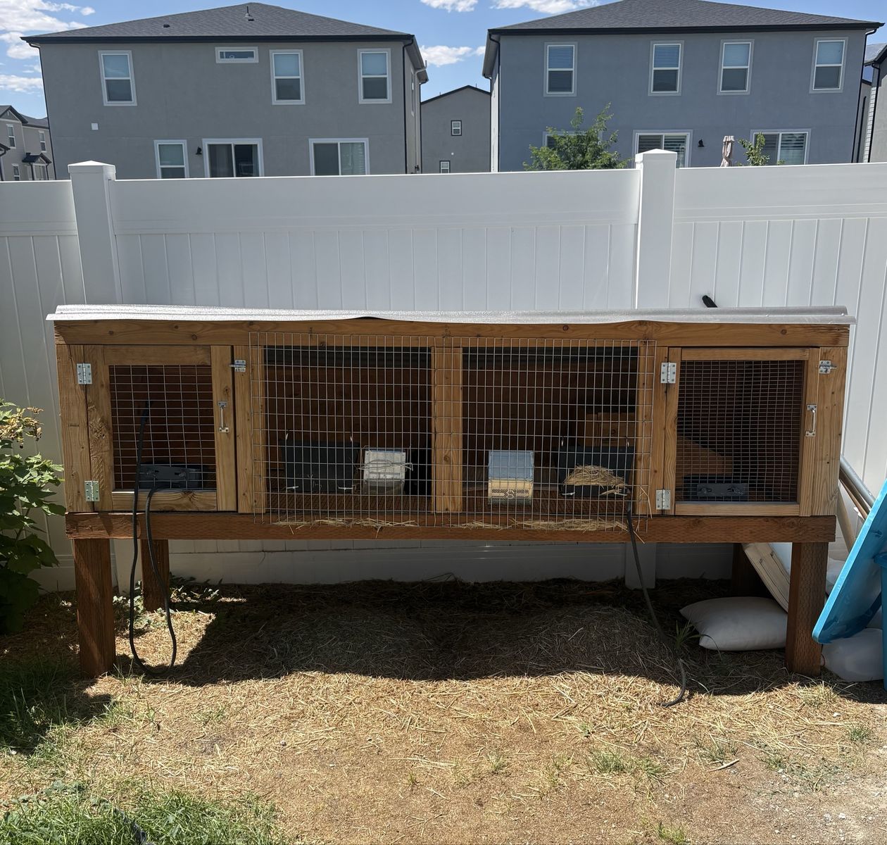 Custom build rabbit hutch with accessories and one rabbit