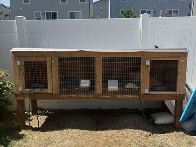 Custom build rabbit hutch with accessories and one rabbit
