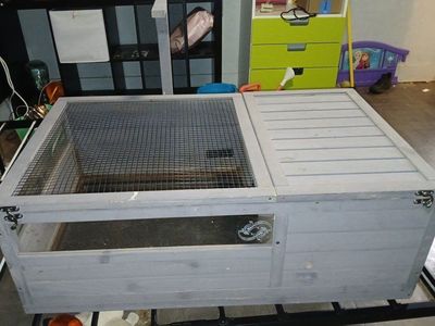 reptile enclosure