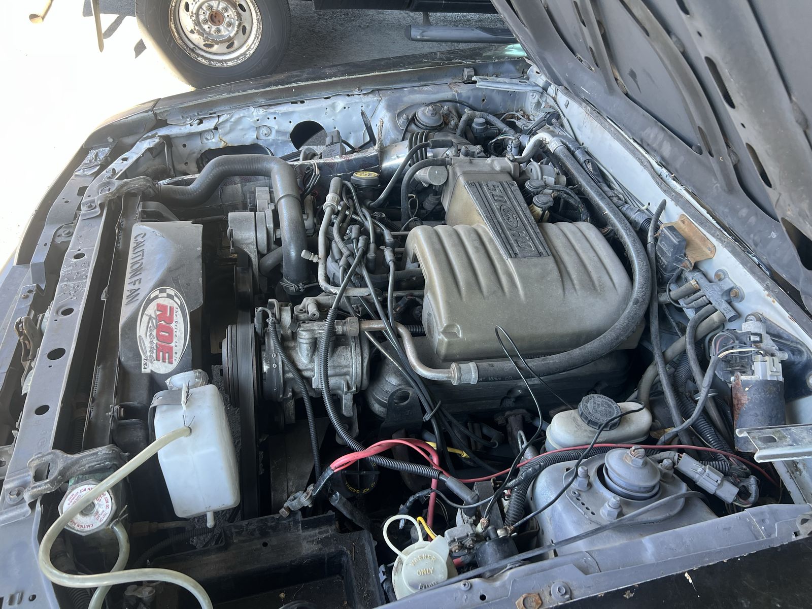 1989 Ford Mustang Cobra