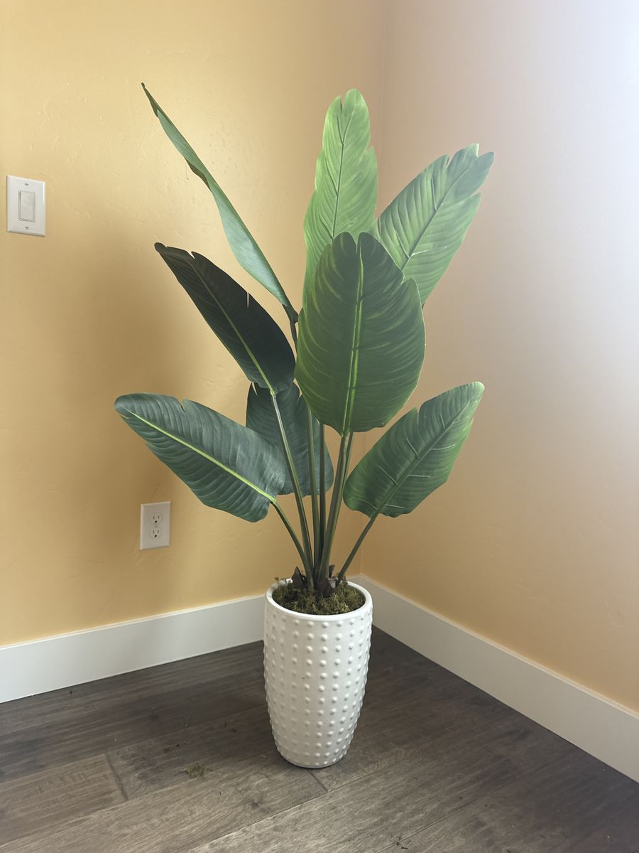 Bird Of Paradise Fake Plant