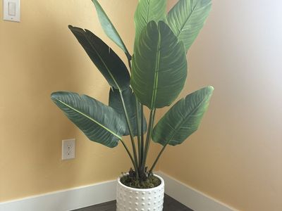 Bird Of Paradise Fake Plant