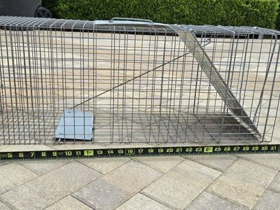 live animal trap - skunk size