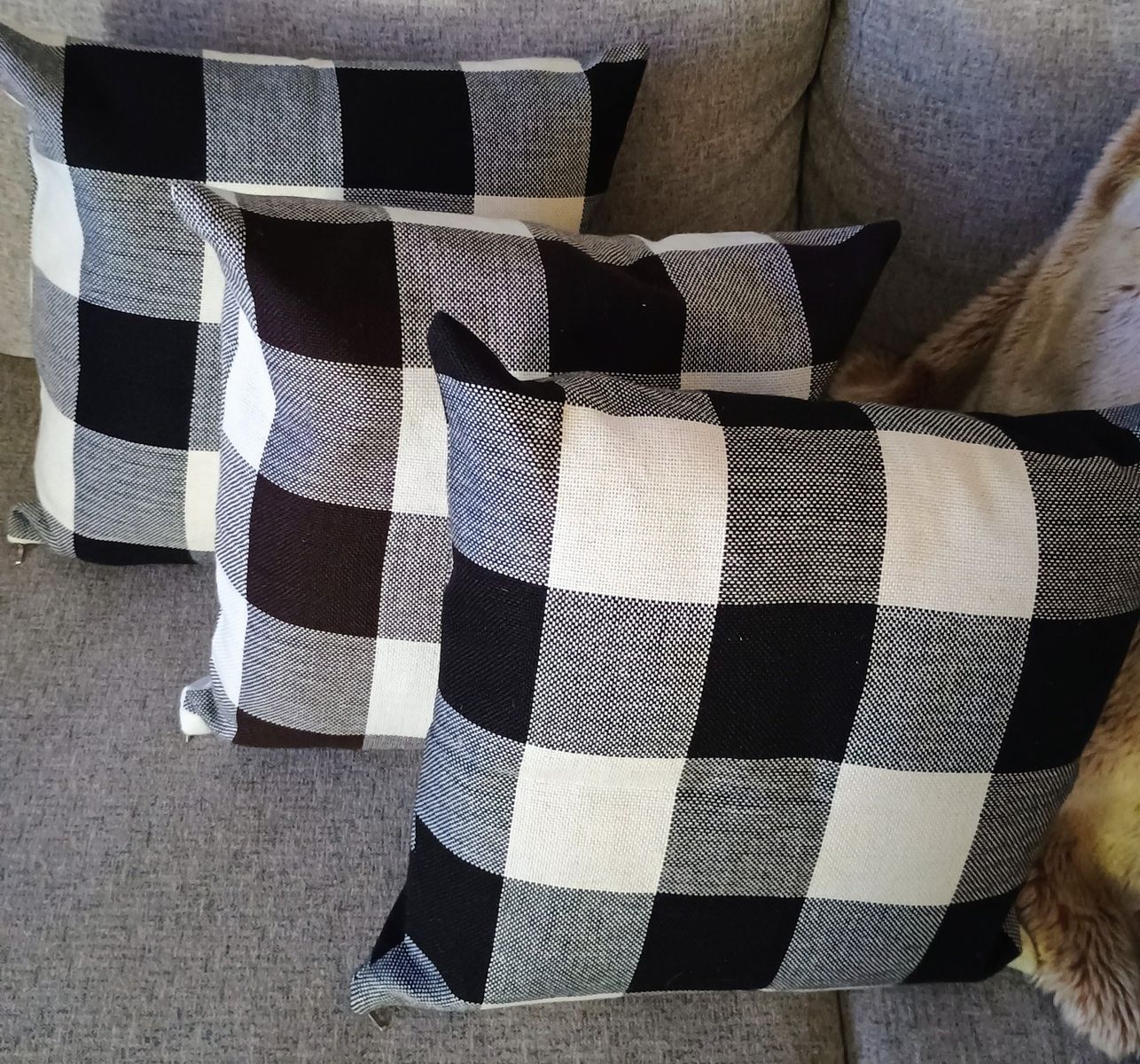 Set of 3 Buffalo Print Pillows