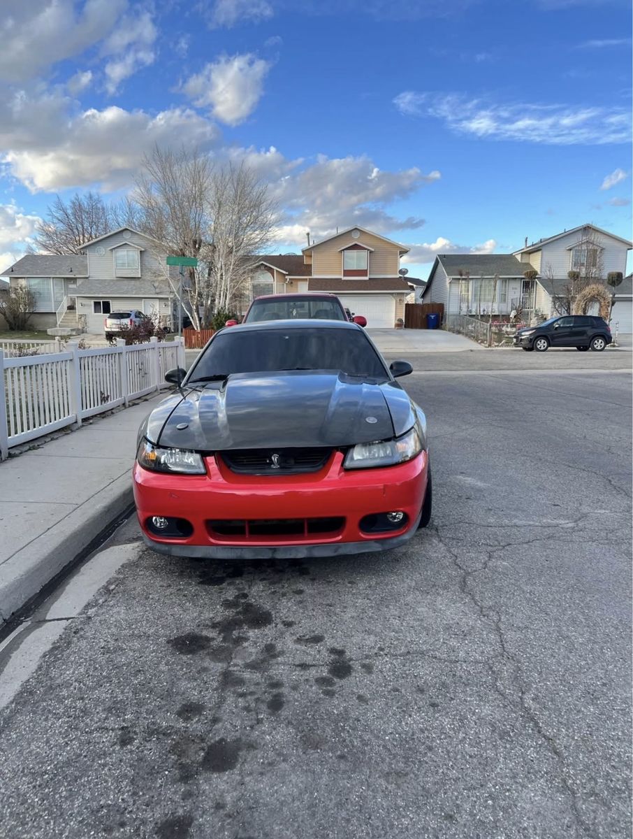 2002 cobra clone + rare saleen supercharged 4.6