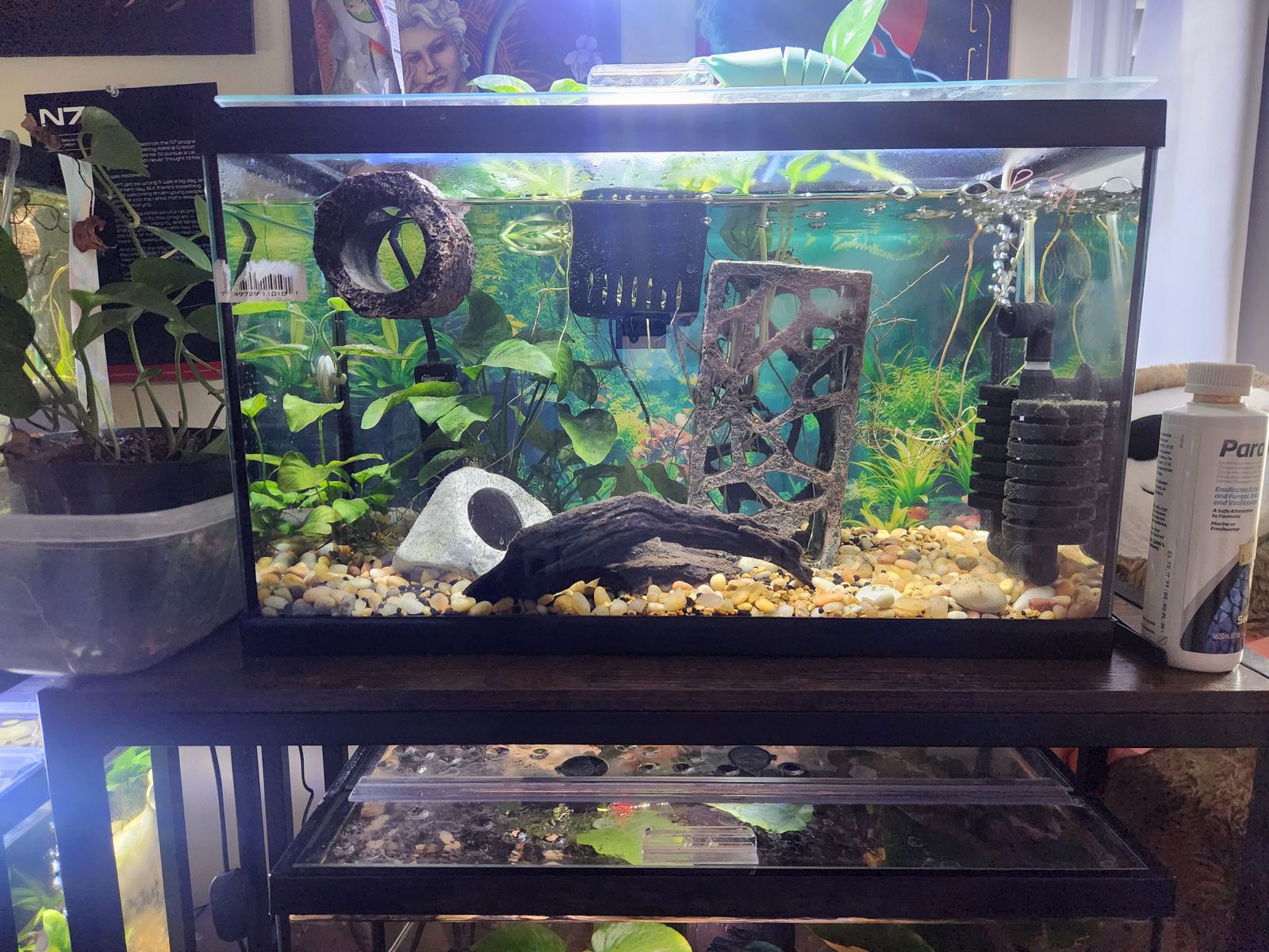 Aquarium tanks and shelves