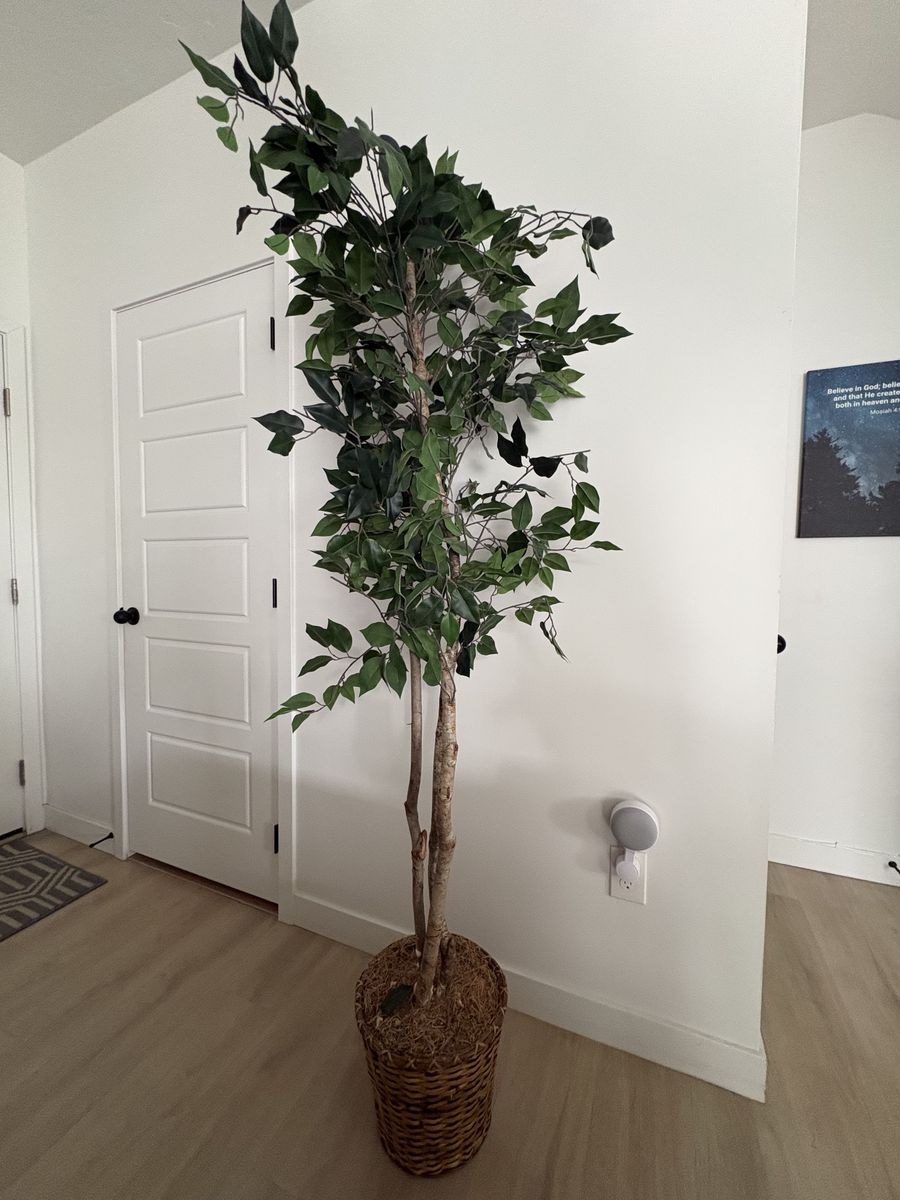 Faux Tree/Plant/decor