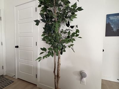 Faux Tree/Plant/decor