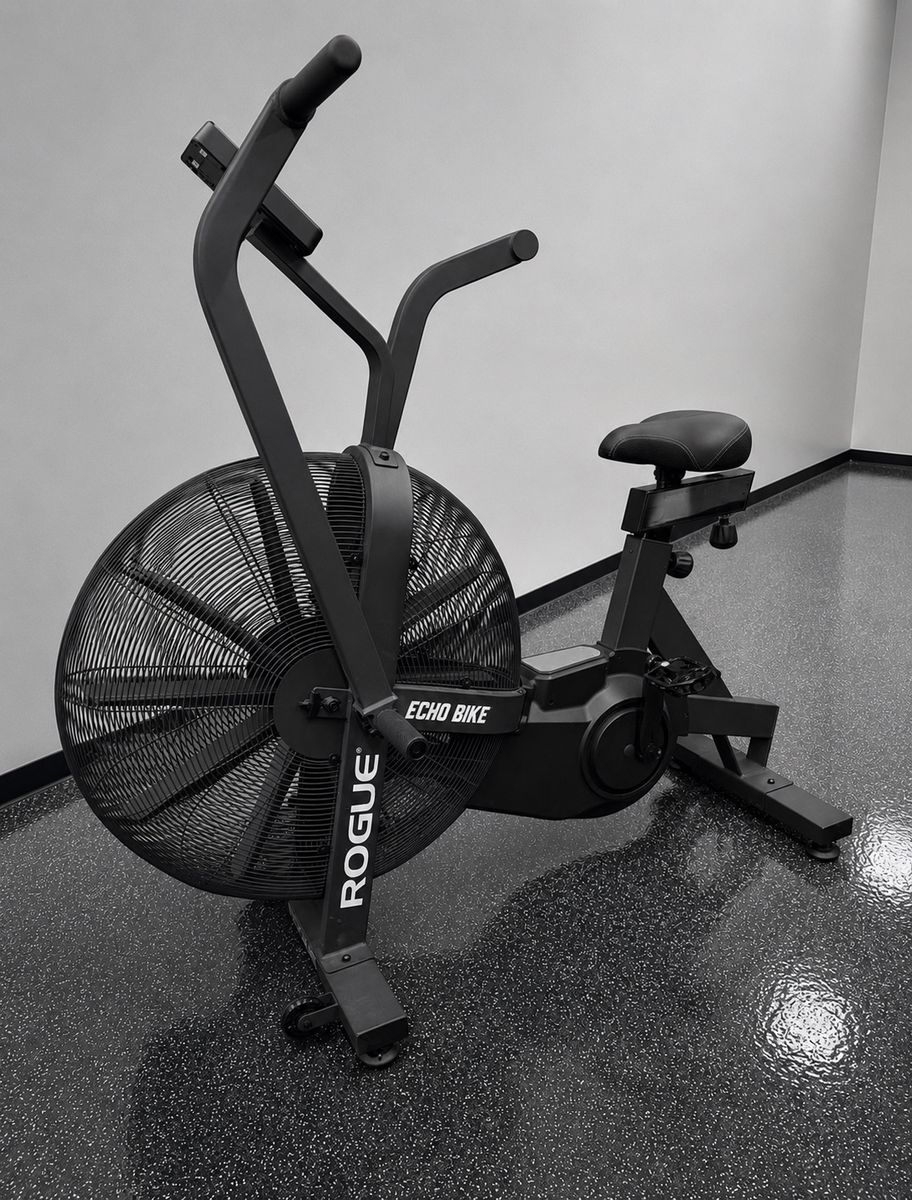 Rogue Echo Bike V3.0 (Like New Condition)