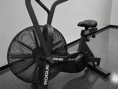 Rogue Echo Bike V3.0 (Like New Condition)