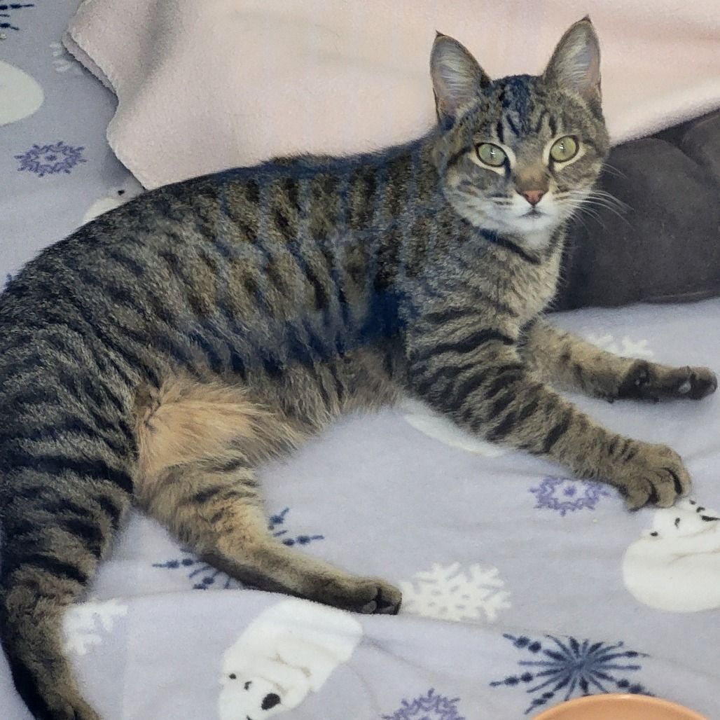 Hello my name is Willa Mae