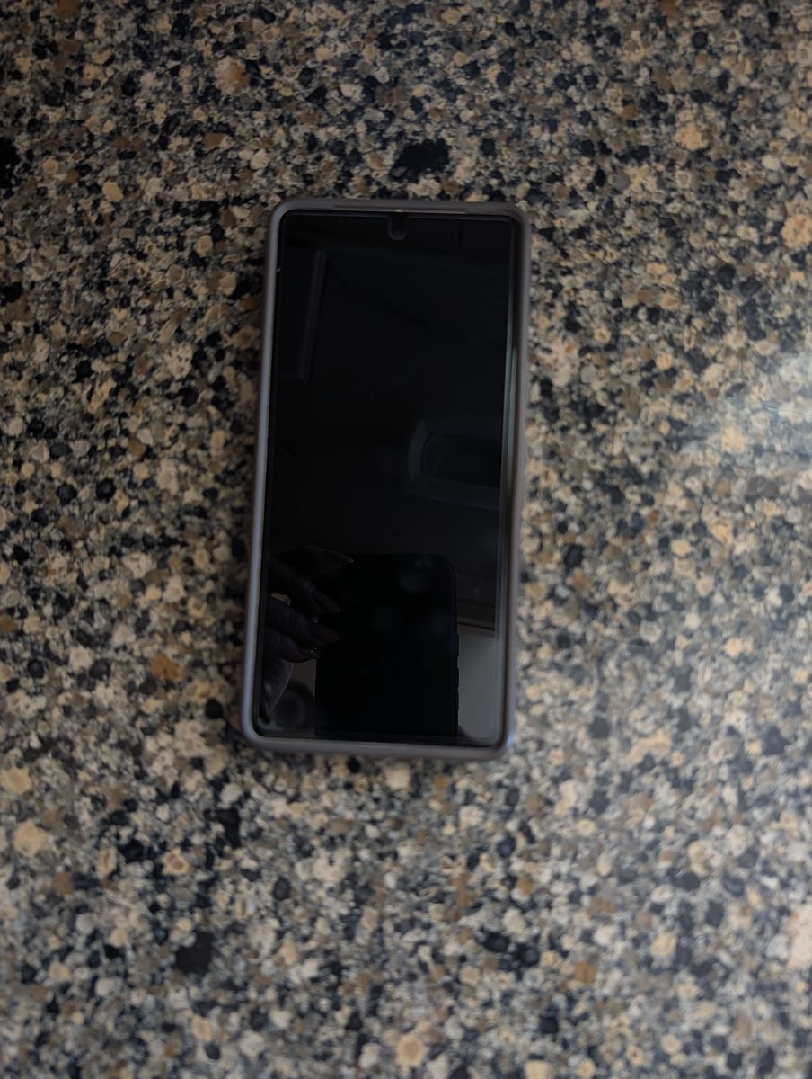 Google Pixel 7 Pro cell phone, with case