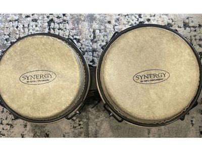 Synergy By Tonga Percussion. Bongo Drum Set Used