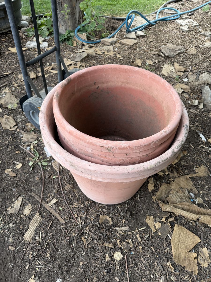 Flower pots 
