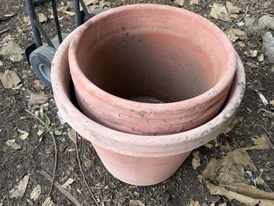 Flower pots
