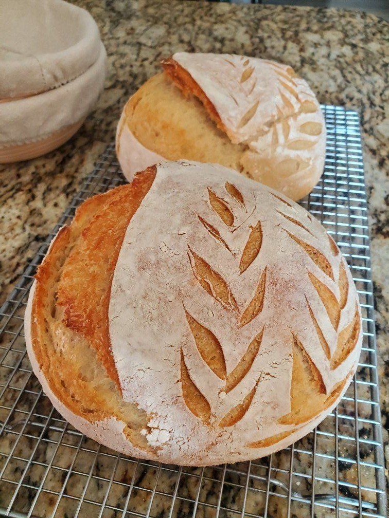 Sourdough Artisan Bread Loaf