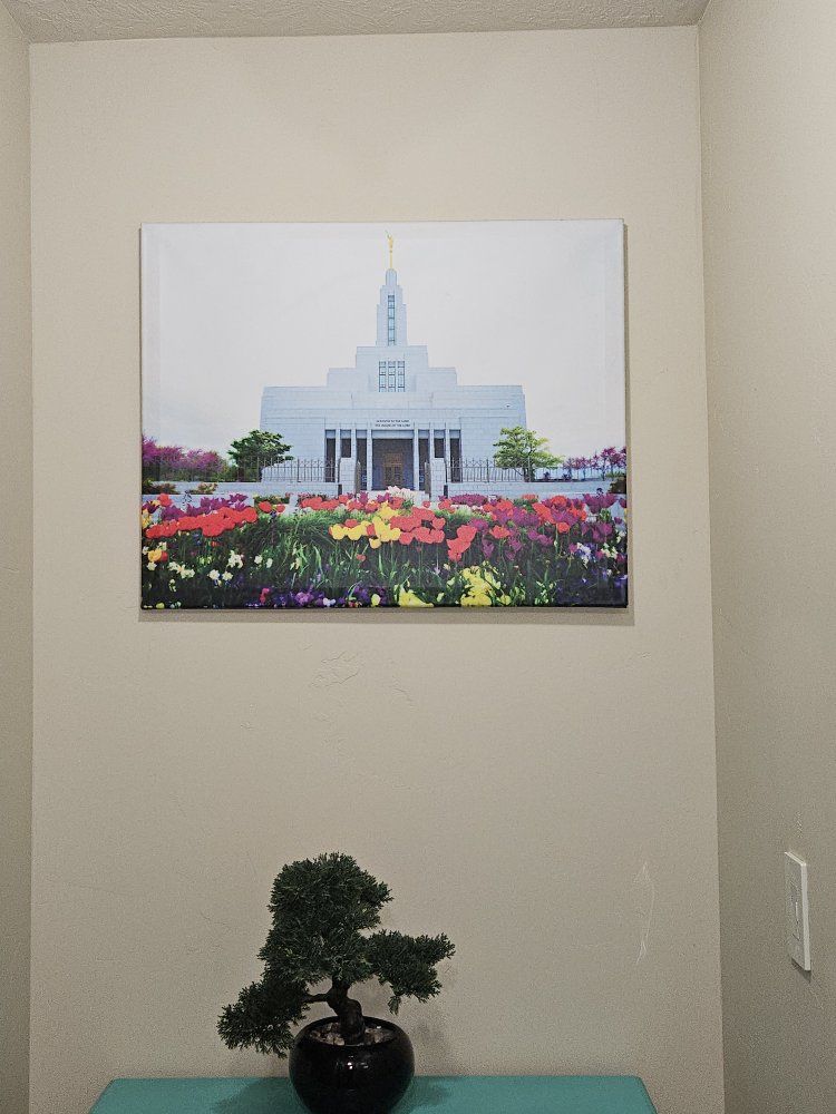 Draper canvas