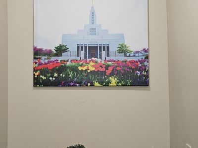 Draper canvas