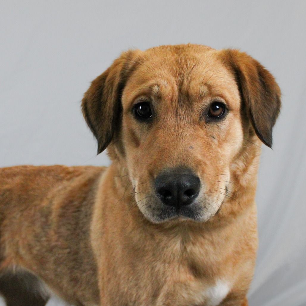 Hello my name is Mable