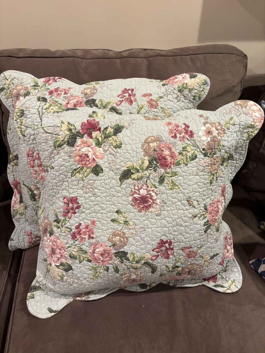 Darling pair of throw pillows