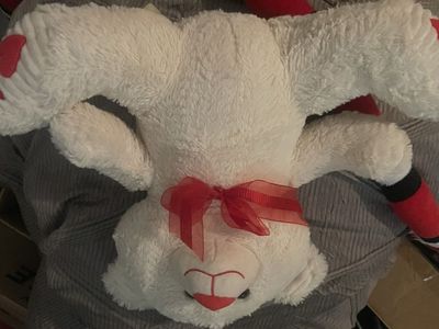 White Stuffed Bear Plush Toy with Red Bow