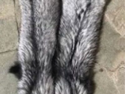 Silver Fox Fur