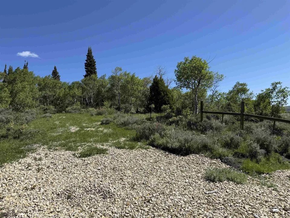 Main image 22