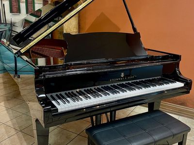 Restored Model B Steinway Classic Grand Piano