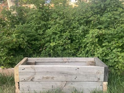 Garden Boxes/Planters