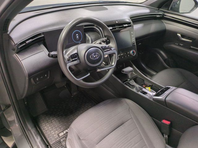 Main image 13
