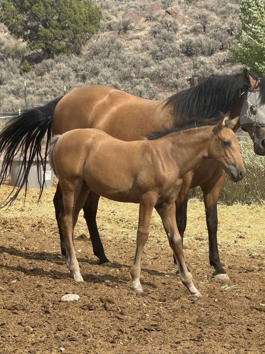 Main image 28