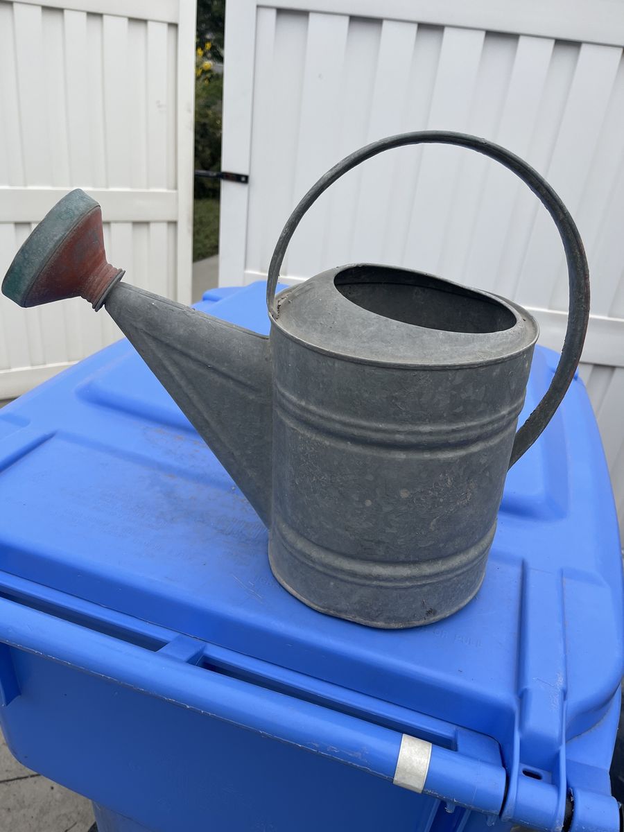 Water pitcher