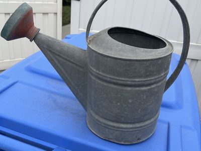 Water pitcher
