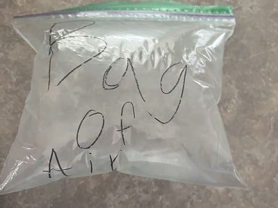 Bag of Air - Collectible Novelty Item